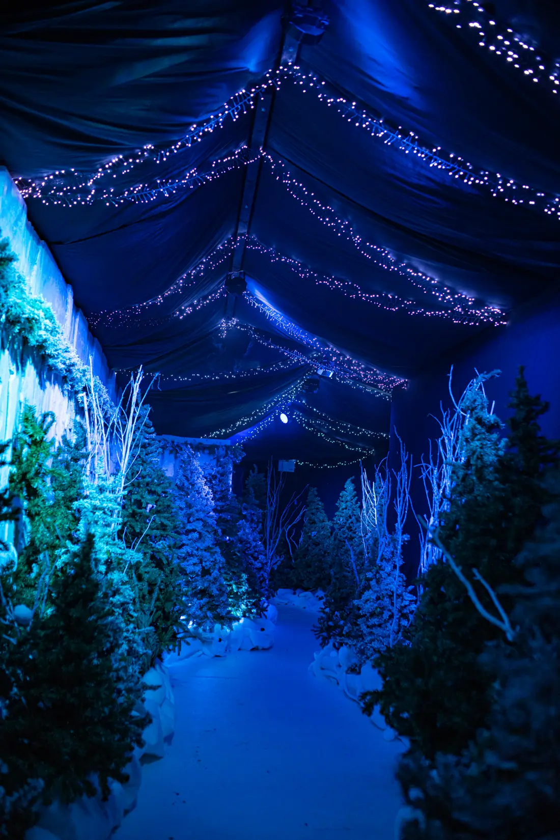 A magical snow-lit pathway through the Christmas experience